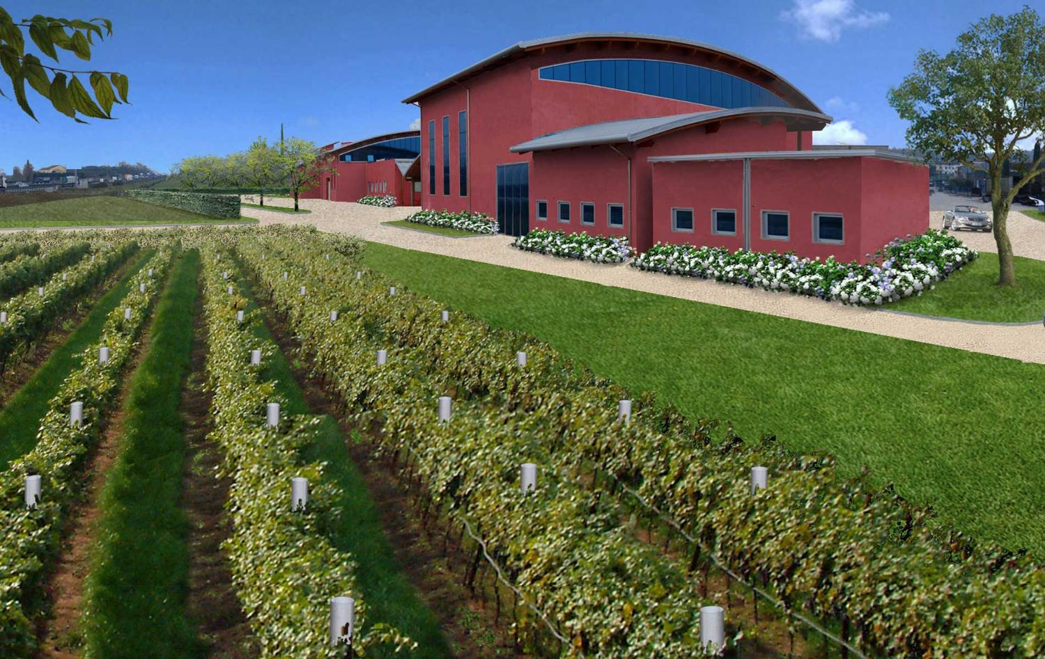 progetto di giardino di San Benedetto Group - Tecnica Verde a Peschiera del garda