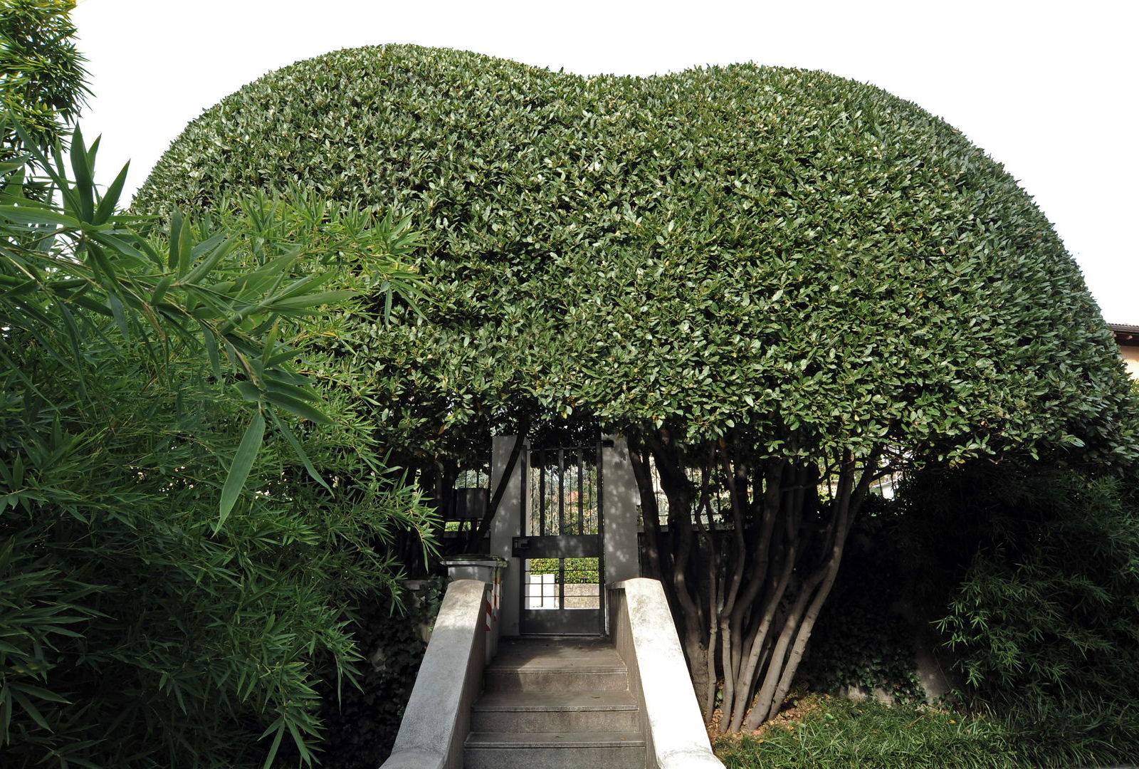 realizzazione progetto di giardino di San Benedetto Group - Tecnica Verde a Trento