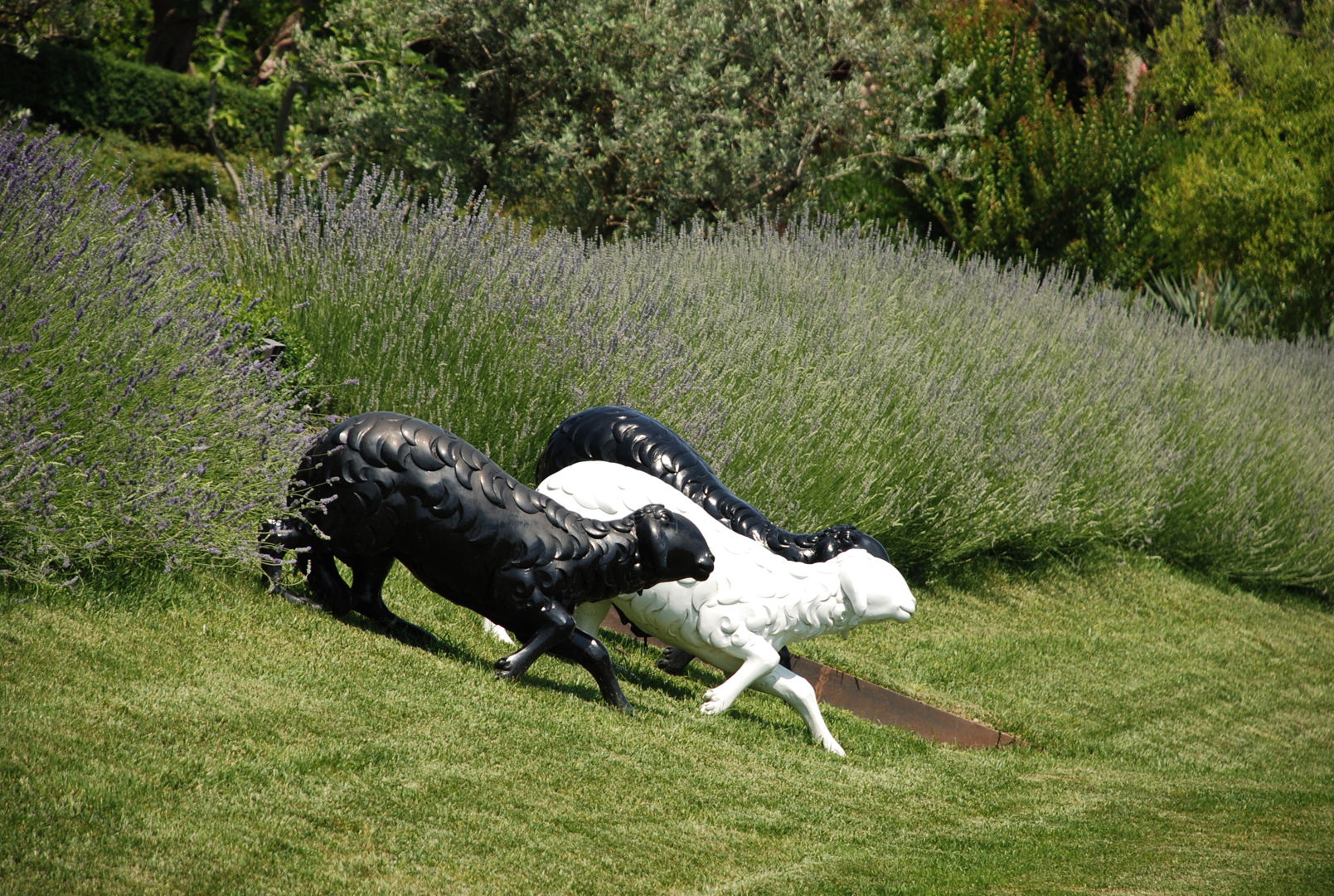 Realizzazione giardino in campagna di Lazise VR - San Benedetto Group