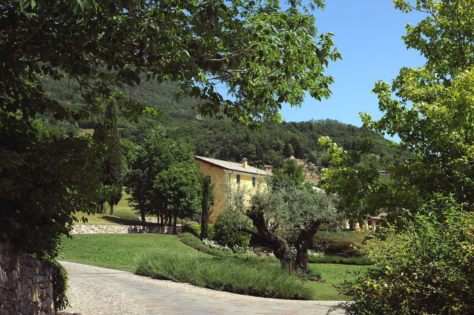 Realizzazione di giardino di campagna a Caprino Veronese - San Benedetto Group