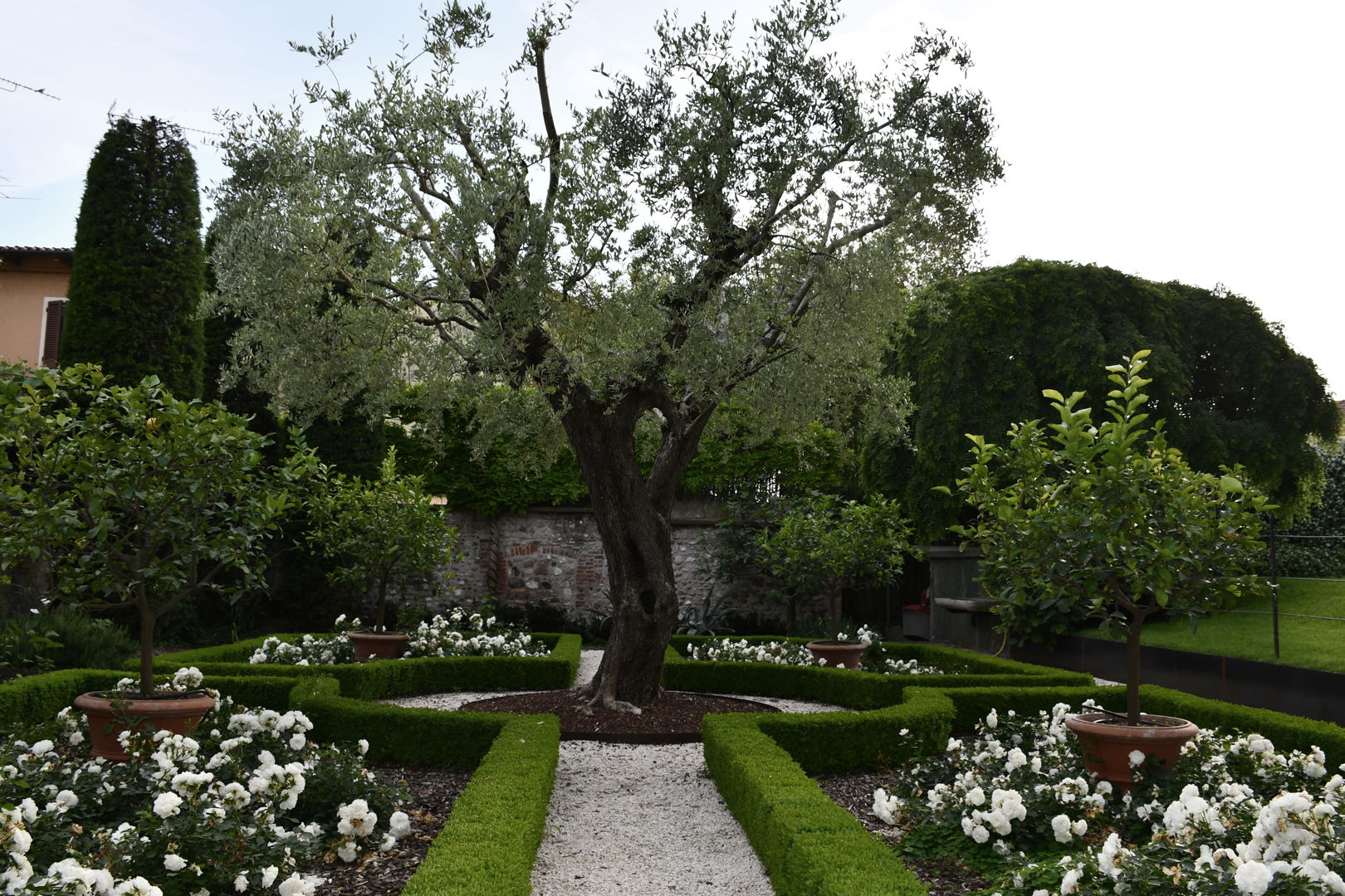 realizzazione di progetto di Giardino formale nell’alto mantovano