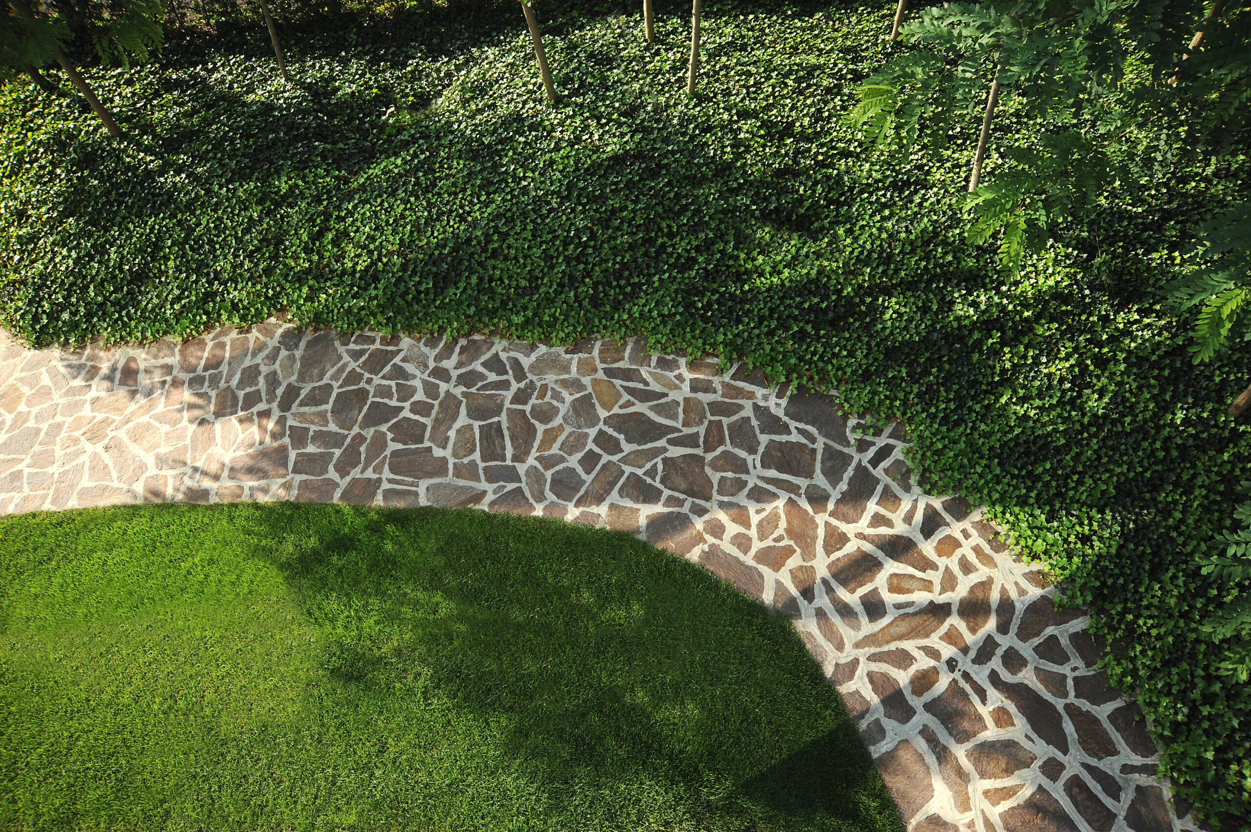 realizzazione progetto di giardino di San Benedetto Group - Tecnica Verde a Mantova