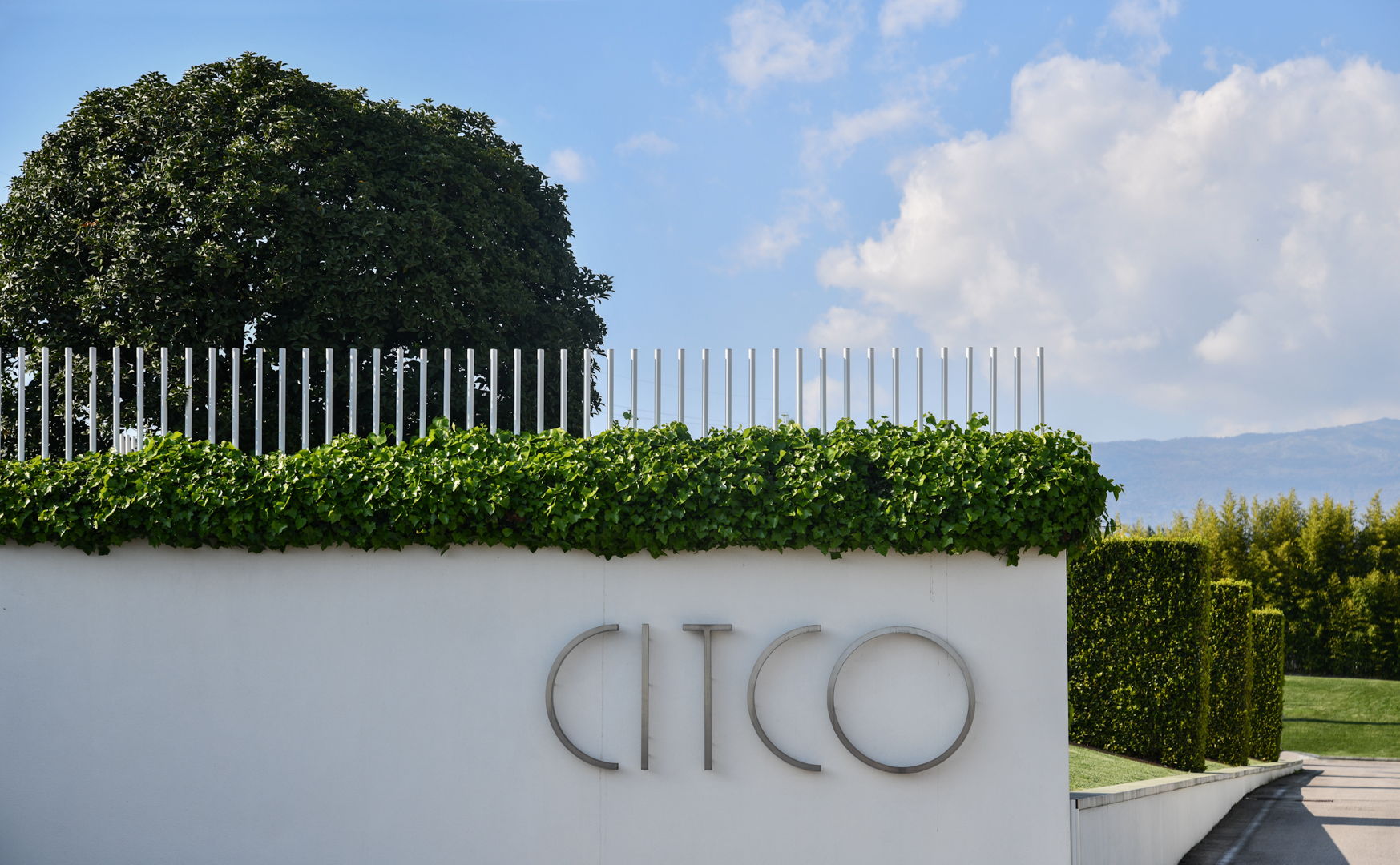 Realizzazione di giardino contemporaneo a Rivoli Veronese - San Benedetto Group